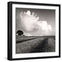 Large White Cloud Near Bilsington, Kent, 1981.-Fay Godwin-Framed Giclee Print