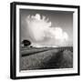 Large White Cloud Near Bilsington, Kent, 1981.-Fay Godwin-Framed Giclee Print