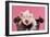 Large White Cross Piglet in Bucket with Bubbles-null-Framed Photographic Print