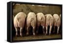 Canvas Black