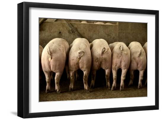 Premium Photographic Print, , large