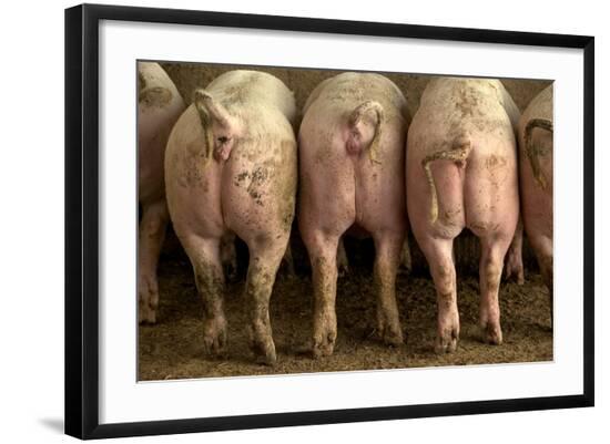 Photographic Print, , large
