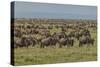 Large wildebeest herd during migration, Serengeti National Park, Tanzania, Africa-Adam Jones-Stretched Canvas