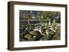 Large Wrought Stones Recovered from the Site of the Roman Bridge That Spanned the River North Tyne-James Emmerson-Framed Photographic Print