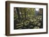 Large Wrought Stones Recovered from the Site of the Roman Bridge That Spanned the River North Tyne-James Emmerson-Framed Photographic Print