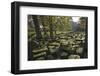 Large Wrought Stones Recovered from the Site of the Roman Bridge That Spanned the River North Tyne-James Emmerson-Framed Photographic Print