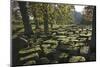 Large Wrought Stones Recovered from the Site of the Roman Bridge That Spanned the River North Tyne-James Emmerson-Mounted Photographic Print