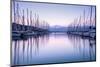 Large Yacht Harbor in Purple Sunset Light-Anna Omelchenko-Mounted Premium Photographic Print