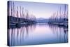 Large Yacht Harbor in Purple Sunset Light-Anna Omelchenko-Stretched Canvas