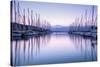 Large Yacht Harbor in Purple Sunset Light-Anna Omelchenko-Stretched Canvas