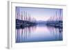 Large Yacht Harbor in Purple Sunset Light-Anna Omelchenko-Framed Photographic Print