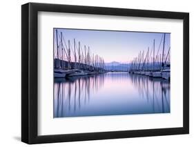 Large Yacht Harbor in Purple Sunset Light-Anna Omelchenko-Framed Photographic Print