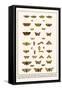 Large Yellow Underwing, Butterflies, Buff Tip, Ichneumon Wasp, Mottles Umber, Leopard Moth, etc.-Albertus Seba-Framed Stretched Canvas