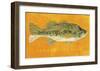 Largemouth Bass-John Golden-Framed Art Print