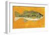 Largemouth Bass-John Golden-Framed Art Print