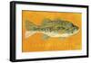 Largemouth Bass-John Golden-Framed Giclee Print