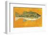 Largemouth Bass-John W^ Golden-Framed Art Print