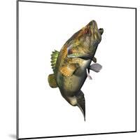 Largemouth Bass-null-Mounted Art Print