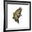 Largemouth Bass-null-Framed Art Print