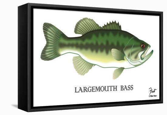 Largemouth Bass-Mark Frost-Framed Stretched Canvas