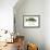 Largemouth Bass-Mark Frost-Framed Giclee Print displayed on a wall