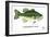 Largemouth Bass-Mark Frost-Framed Giclee Print