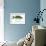 Largemouth Bass-Mark Frost-Framed Giclee Print displayed on a wall