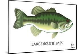 Largemouth Bass-Mark Frost-Mounted Giclee Print