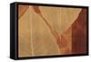 Larger than Life Spice-Pela Design-Framed Stretched Canvas