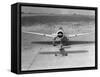 Largest and Smallest Monoplane-null-Framed Stretched Canvas