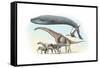 Largest Animals Size Comparison-Jose Antonio-Framed Stretched Canvas