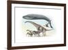 Largest Animals Size Comparison-Jose Antonio-Framed Photographic Print