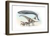 Largest Animals Size Comparison-Jose Antonio-Framed Photographic Print