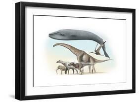 Largest Animals Size Comparison-Jose Antonio-Framed Photographic Print