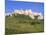 Largest Ruined Castle in Slovakia, Spis Castle, Unesco World Heritage Site, Presov Region-Richard Nebesky-Mounted Photographic Print