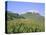 Largest Ruined Castle in Slovakia, Spis Castle, Unesco World Heritage Site, Presov Region-Richard Nebesky-Stretched Canvas