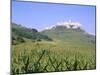 Largest Ruined Castle in Slovakia, Spis Castle, Unesco World Heritage Site, Presov Region-Richard Nebesky-Mounted Photographic Print