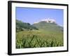 Largest Ruined Castle in Slovakia, Spis Castle, Unesco World Heritage Site, Presov Region-Richard Nebesky-Framed Photographic Print