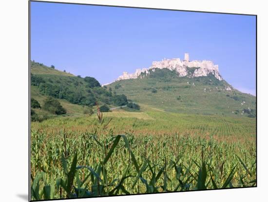 Largest Ruined Castle in Slovakia, Spis Castle, Unesco World Heritage Site, Presov Region-Richard Nebesky-Mounted Photographic Print