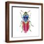 Brown Frame