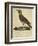 Lark with a Black Collar-Paul Louis Oudart-Framed Giclee Print