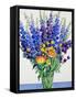 Larkspur and Delphiniums-Christopher Ryland-Framed Stretched Canvas