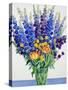 Larkspur and Delphiniums-Christopher Ryland-Stretched Canvas