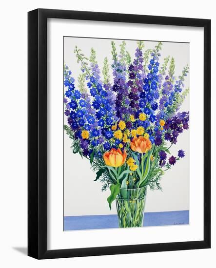 Larkspur and Delphiniums-Christopher Ryland-Framed Giclee Print