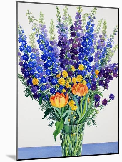 Larkspur and Delphiniums-Christopher Ryland-Mounted Giclee Print