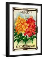 Larkspur Seed Packet-Lantern Press-Framed Art Print
