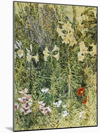 Larkspurs and Lillies, 1893-Childe Hassam-Mounted Giclee Print