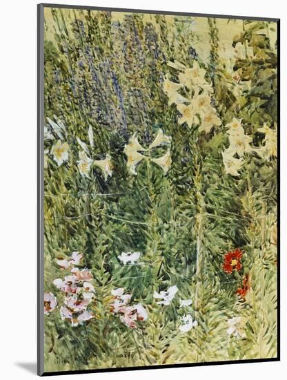 Larkspurs and Lillies, 1893-Childe Hassam-Mounted Giclee Print