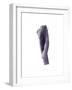 Larky Tiree Trousers, 2004-Miles Thistlethwaite-Framed Giclee Print