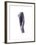 Larky Tiree Trousers, 2004-Miles Thistlethwaite-Framed Giclee Print